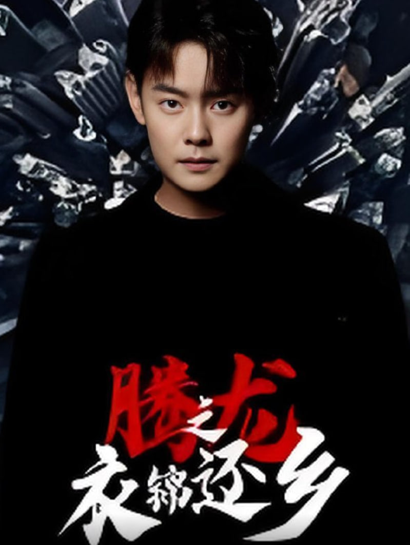 腾龙之衣锦还乡(全集)