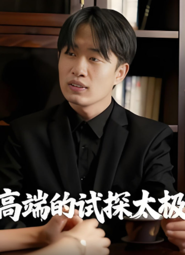 高端的试探太极(全集)