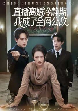 直播离婚冷静期，我成了全网公敌(全集)