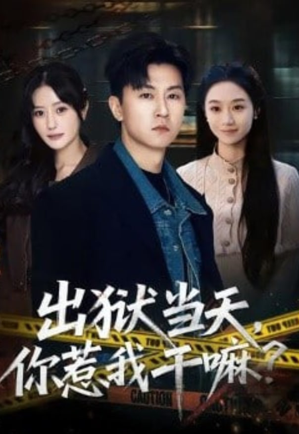 出狱当天，你惹我干嘛？（出狱当天你惹我干嘛）(全集)