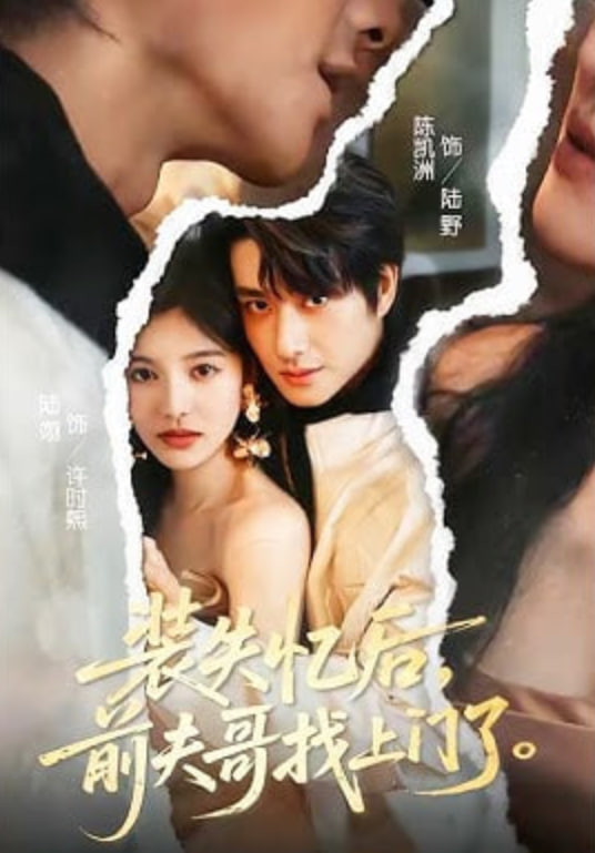 装失忆后，前夫哥找上门了(全集)